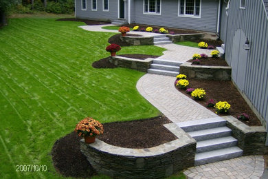 Lawn Maintnance