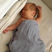 Nancy Silver's photo