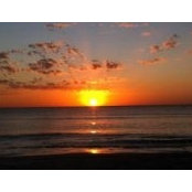Dee Wiley's photo