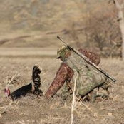 Jason Solomon's photo