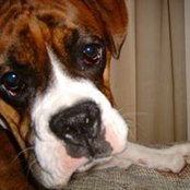Darlene Brown's photo