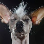 Jason Ball's photo
