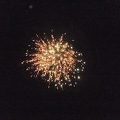 Diane Pinelli Mastrole's photo