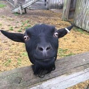 Jessica Durkee's photo