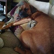 Jeff Boisvenue's photo