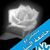 Foto von Heba Shalaby