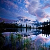 Nic Southcott's photo