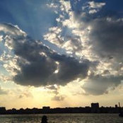 Anne Crawford's photo