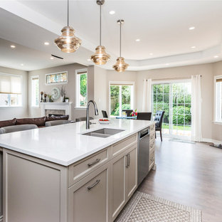 Copperstone Kitchens and Renovations Ottawa, Ontario, Canada Project Review & Ratings