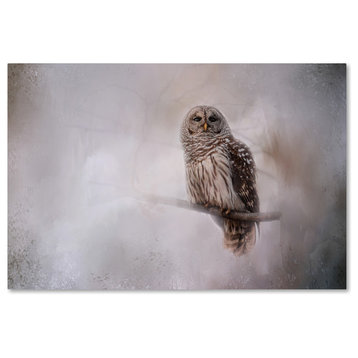Jai Johnson 'Winter Owl' Canvas Art, 19 x 12