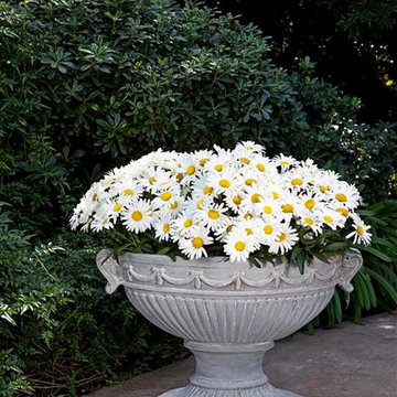 Oval European Ribbon Urn