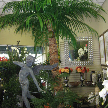 store
