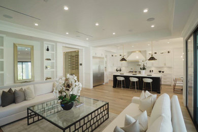 Living Room, Kitchen, and Dining Room Renovation