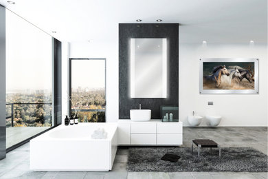 Inspiration for a mid-sized modern master gray floor bedroom remodel in Phoenix with white walls