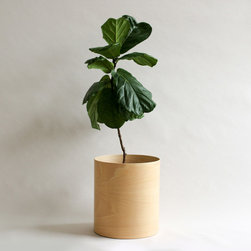 Flor Planter - Indoor Pots And Planters