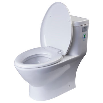 Modern Dual Flush One Piece Ceramic Toilet