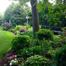 City Gardening