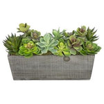 House of Silk Flowers, Inc. - Artificial Succulent Garden in Grey-Washed Wood Ledge - You will never have to worry about caring for your succulents again with this artificial succulent garden handcrafted by House of Silk Flowers. This arrangement features an assortment of succulents "potted" in a rustic washed wood planter (16" x 6" x 5 1/2" tall). The succulents have been arranged for 360*-viewing. The overall dimensions are measured leaf tip to leaf tip, from the bottom of the planter to the tallest leaf tip: 18" wide X 9" deep X 10" tall. Measurements are approximate, and will be determined by your final shaping of the plant upon unpacking it. No arranging is necessary, only minor shaping, with the way in which we package and ship our products. This product is only recommended for indoor use.