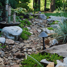 dry creeks and rain gardens