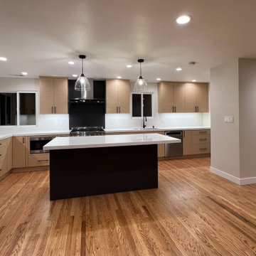 Alameda Modern Kitchen