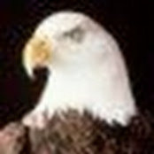 Michael Clark's photo