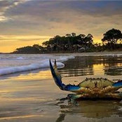 Candace Johnson's photo