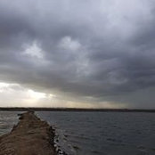 Sherif Maarof's photo