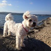 James Simms's photo