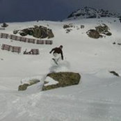 Mike Suttie's photo