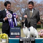 Toshiya Endohs foto