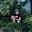 Sam Egan Gardens