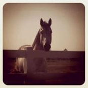 Foto von Jill Gibbons