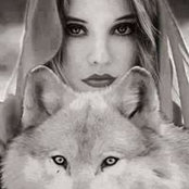 Foto di Vicki Shirk