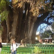 Maria de Anda's photo