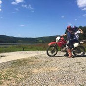 Patrick Murray's photo