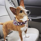 Kelly Declouet's photo