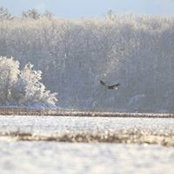 Julia Selkirk's photo
