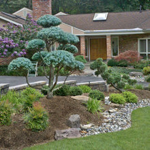 Jap Garden