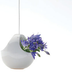 Hanging Aerium Nest Planter - Products