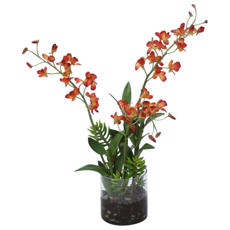 Waterlook®  Rust Dendrobium Orchids in Cylinder