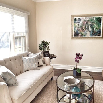 Transitional and Classic Living Room