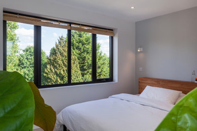 This is an example of a contemporary bedroom in Other.