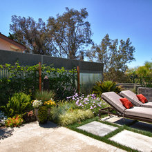 Backyard Ideas