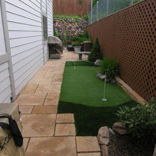 Backyard 2021