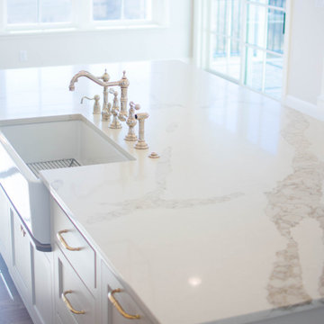 Whitaker House Project
