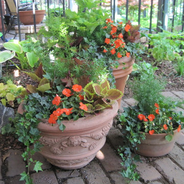Seasonal Containers Shade