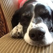 Sharon Carter's photo