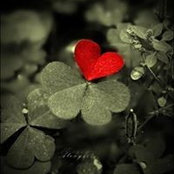 Mary Anne Doherty's photo