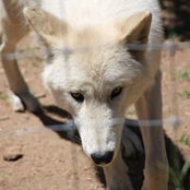 Brandon Harroff's photo