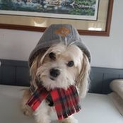 Sue Chadwick-Gilbert's photo
